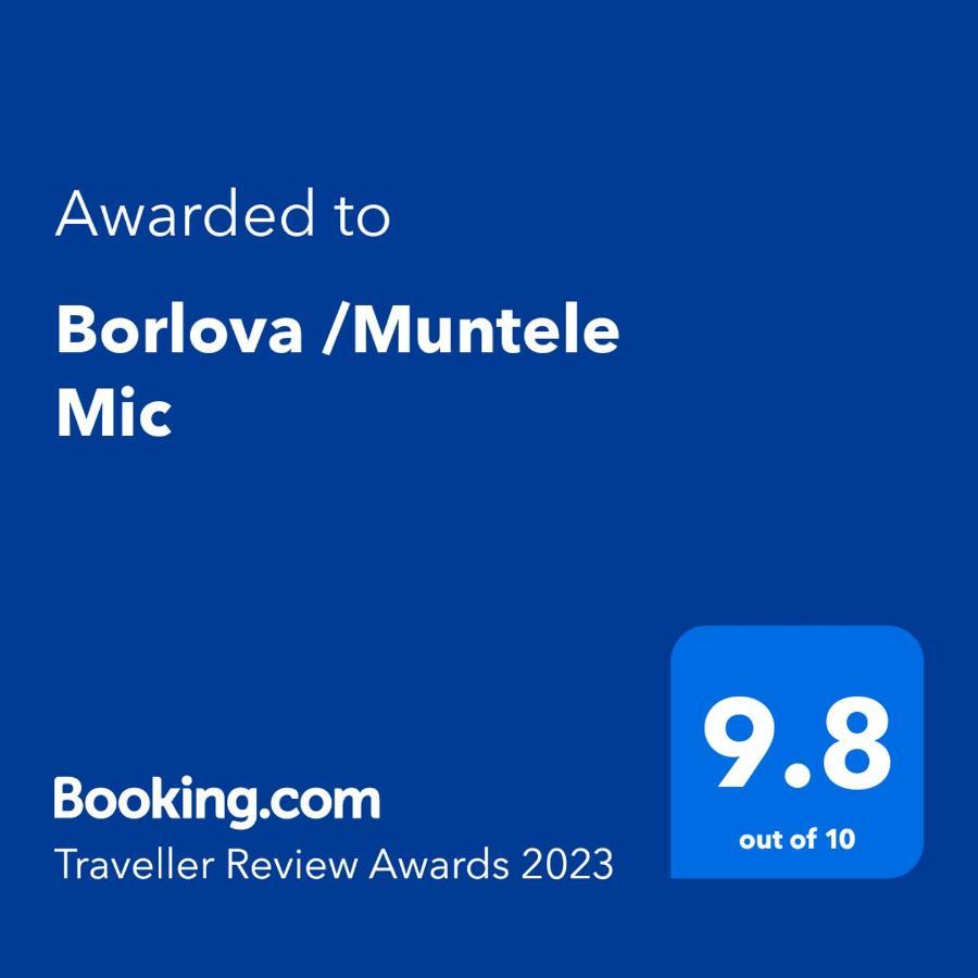 Отель Borlova /Muntele Mic Экстерьер фото